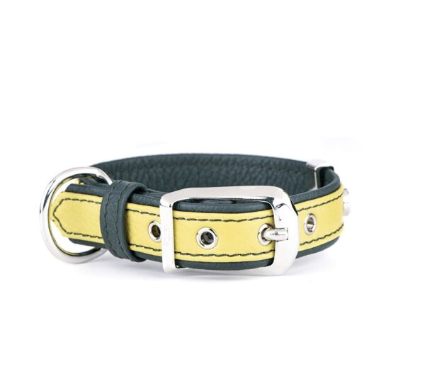#MyFa Firenze Halsband Lime S 16mmx27-31cm