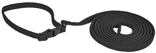 Alac Halsband+Koppel Svart 10mmx170cm