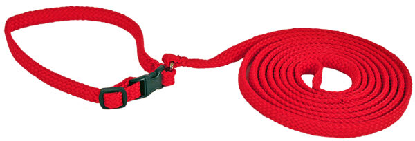 Alac Halsband+Koppel Röd 10mmx170cm