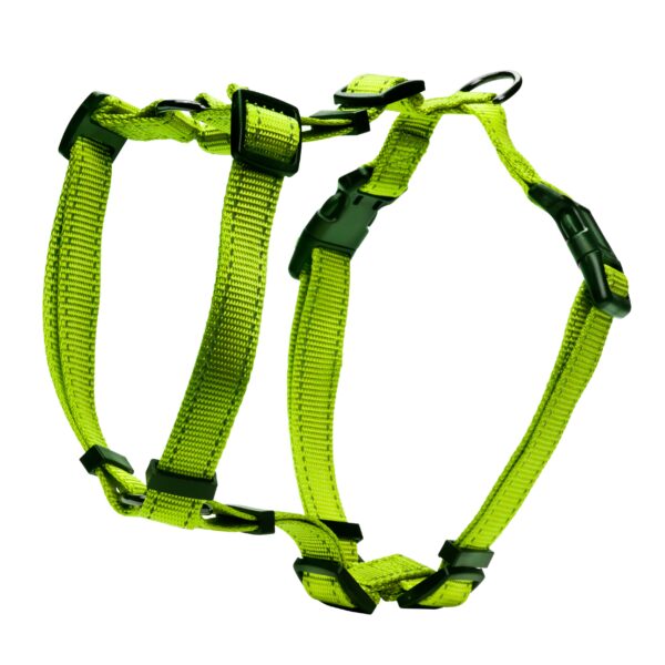 #Dogman H-Sele Iris Grön 25mm
