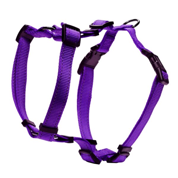#Dogman H-Sele Iris Lila 20mm