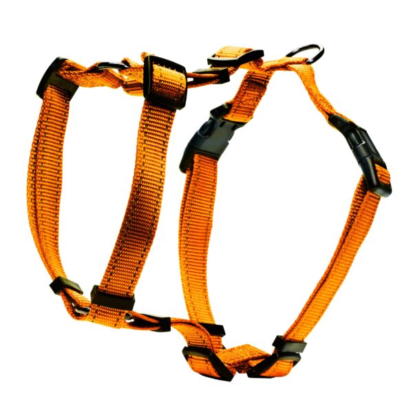 Dogman H-Sele Iris Orange 20mm