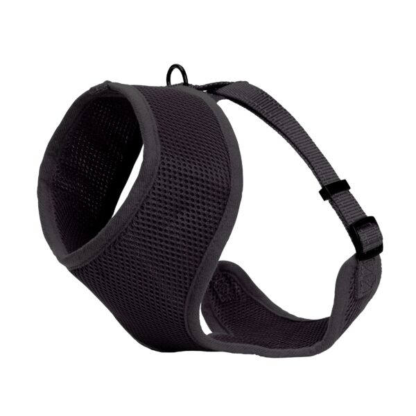 Dogman Meshsele Iris Svart XS