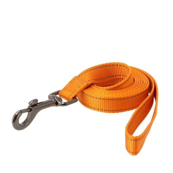 Dogman Nylonkoppel Iris Orange 20mmx180cm