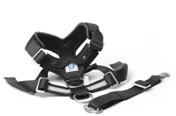 Allsafe Harness M