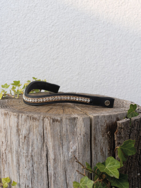 Cary Pannband svart F