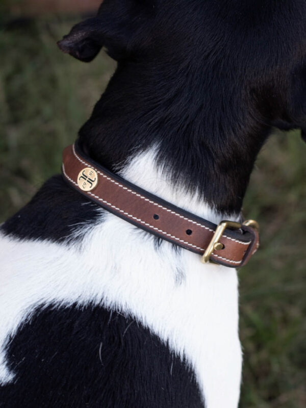 Arezzo Halsband brun 55 cm
