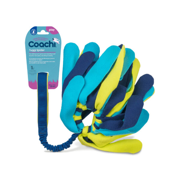 Hundleksak Tuggi Spider Coachi