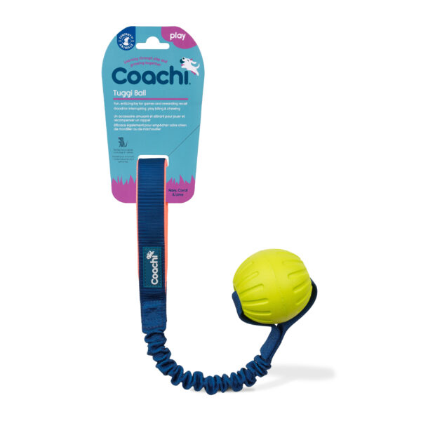 Hundleksak Tuggi Ball Coachi