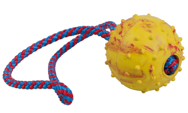 Hundleksak Boll gummi med handtag Gappay