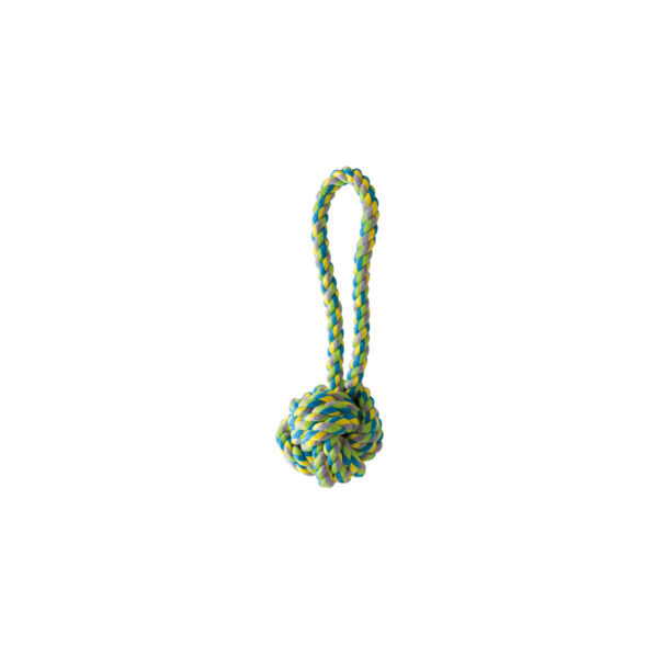 KW Repboll med handtag